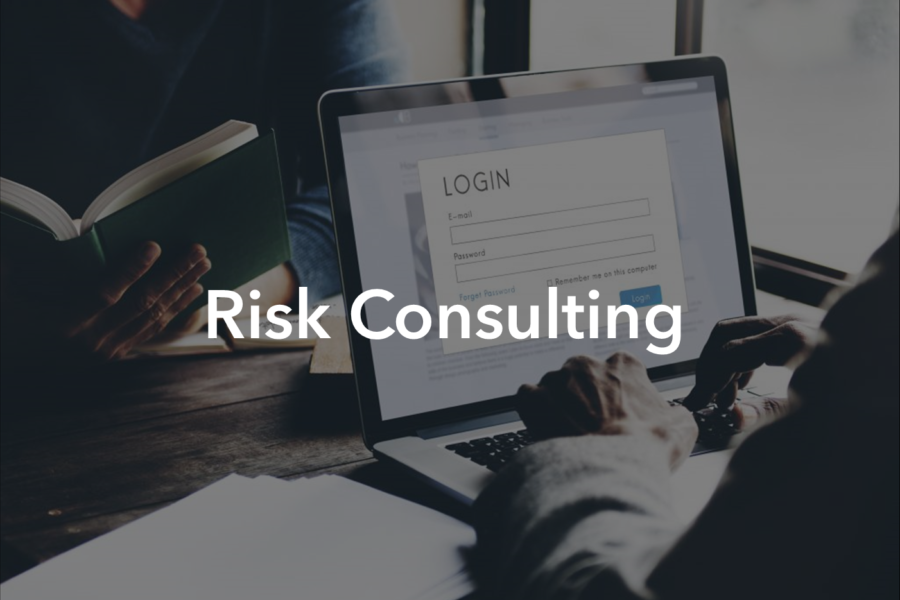 Person on laptop secure login_Risk Consulting